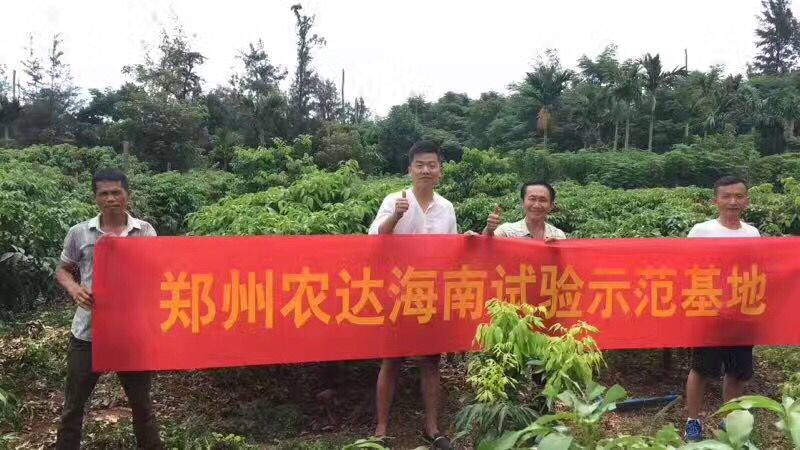 鄭州農(nóng)達(dá)生化高山青海南VIP客戶(hù)答謝會(huì)(圖3)