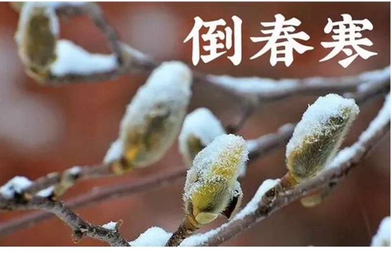 倒春寒來了！(圖1)