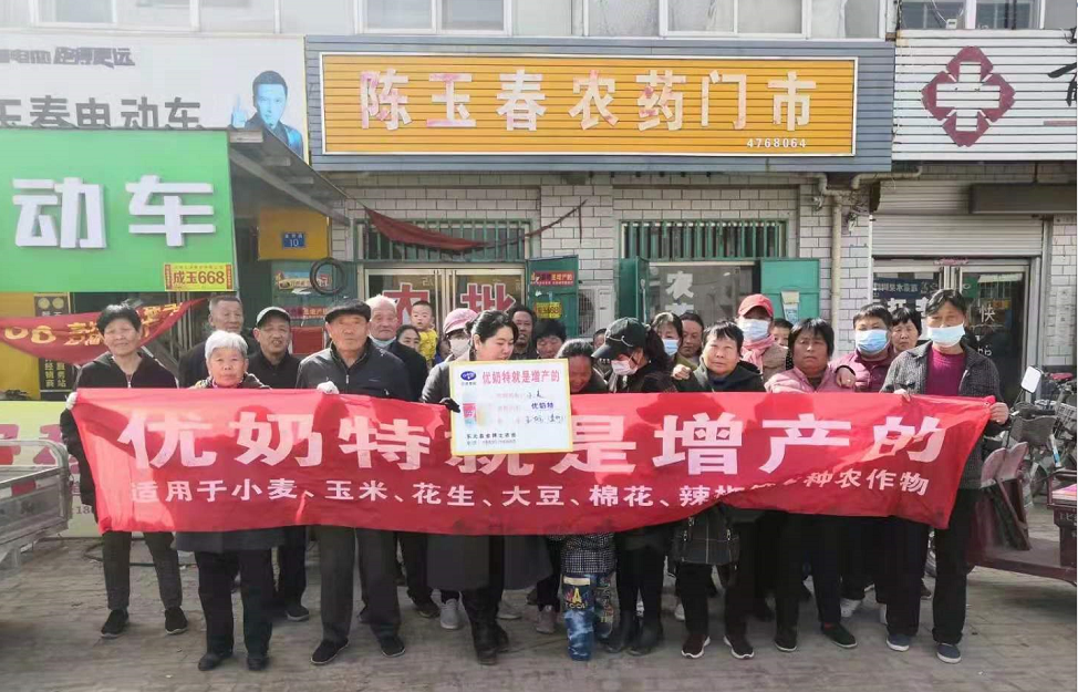 小麥已進入打包抽穗發(fā)育階段 提質增產(chǎn)防病防蟲已經(jīng)開始啦(圖4)