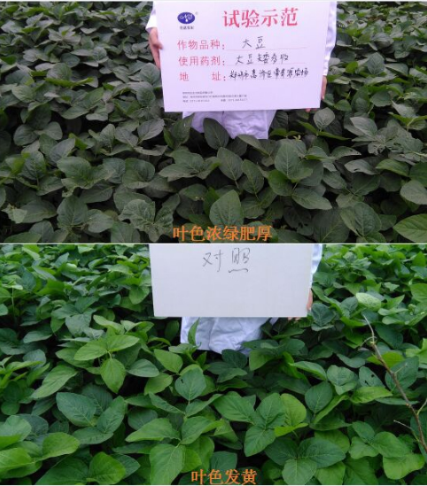 換個思路賣農(nóng)資，效果也不差！(圖1)