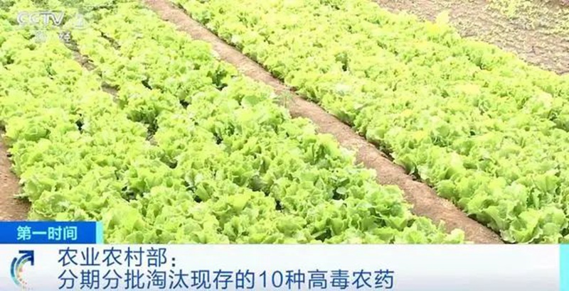 農業(yè)農村部:3年內淘汰這10種高毒農藥, 重點治理豇豆、韭菜、芹菜農殘超標(圖1) 農業(yè)農村部:3年內淘汰這10種高毒農藥, 重點治理豇豆、韭菜、芹菜農殘超標(圖1)
