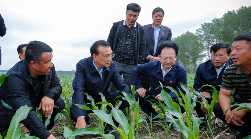重磅！農(nóng)資上漲不要怕，補貼來了！(圖1)